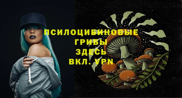 гидра Котовск