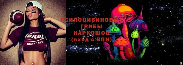 МДПВ Киселёвск