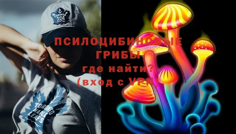 ОМГ ОМГ tor  Баймак  Галлюциногенные грибы Psilocybe 