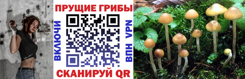 MEGA tor  Баймак  Галлюциногенные грибы мухоморы 